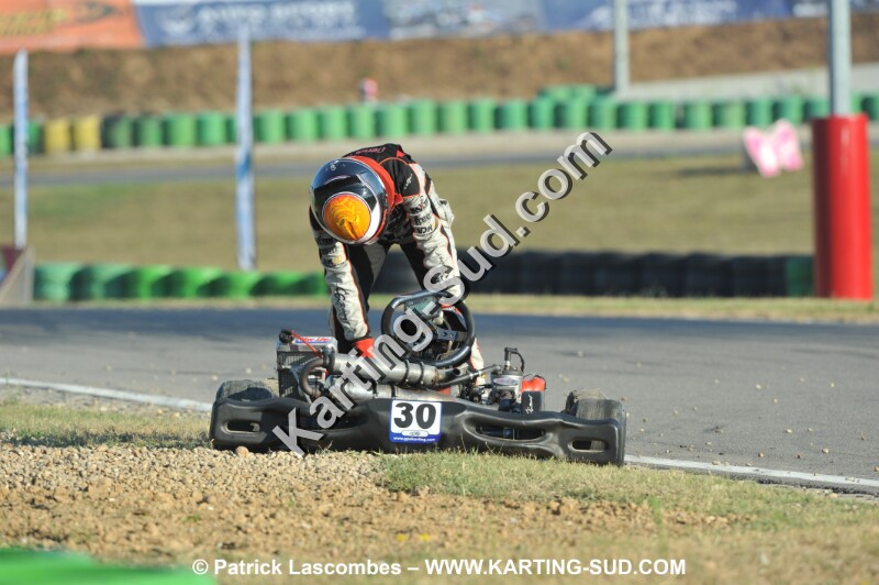 DSC_ (1398).JPG